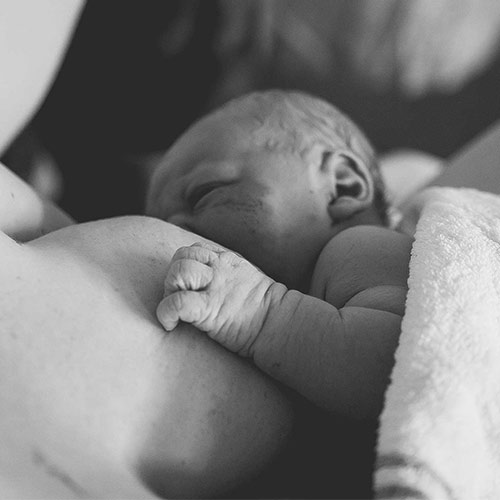 a newborn at the breast